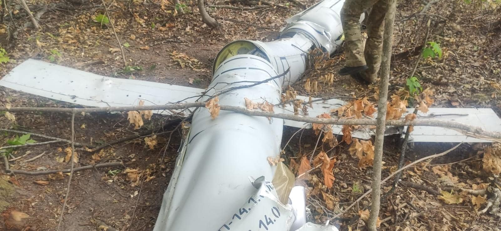 На Вінниччині лісничі знайшли збиту ракету «Калібр» - Командування Повітряних Сил ЗСУ