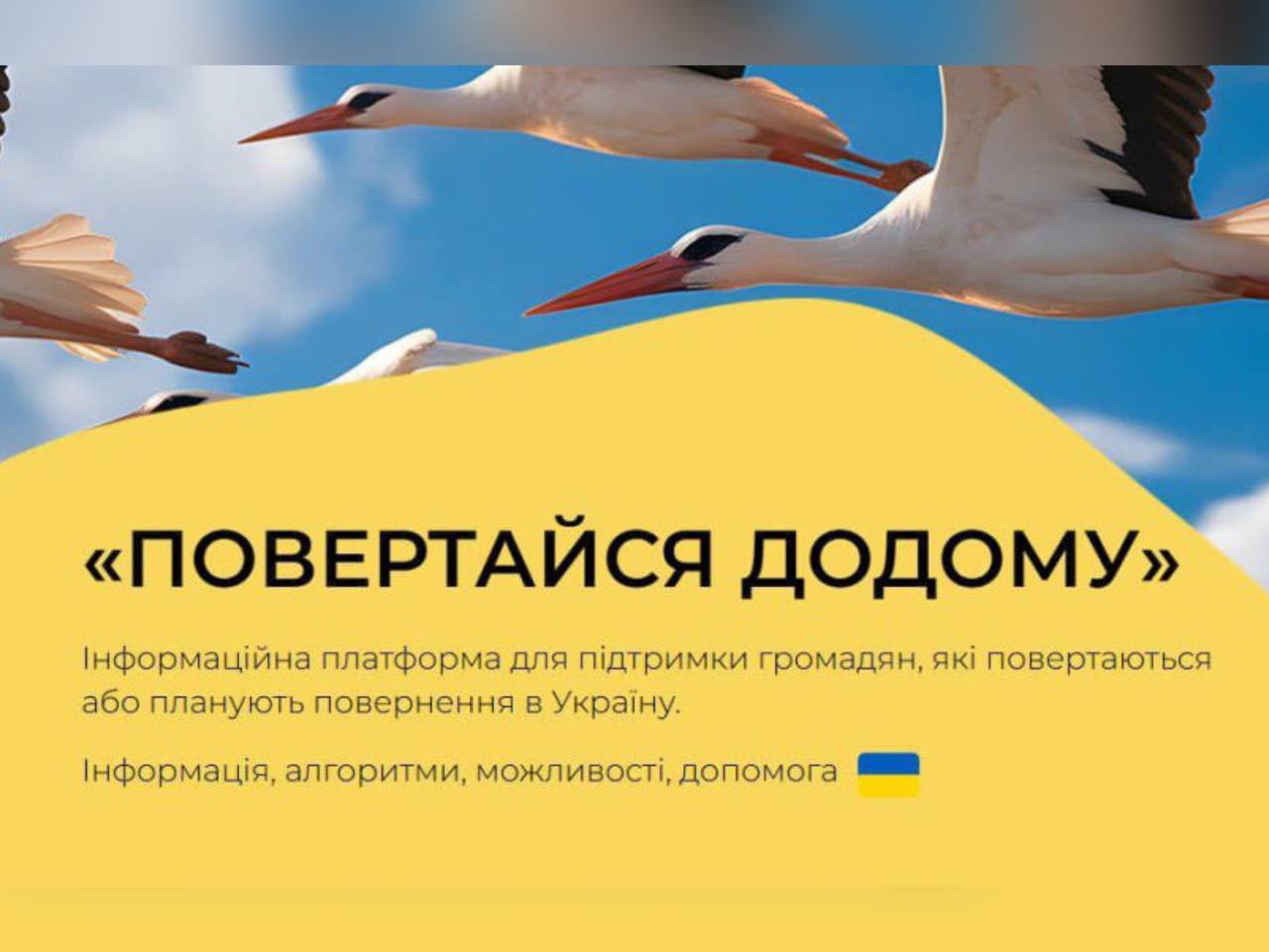 Журавлі, напис "Повертайся додому" та інформація про платформу