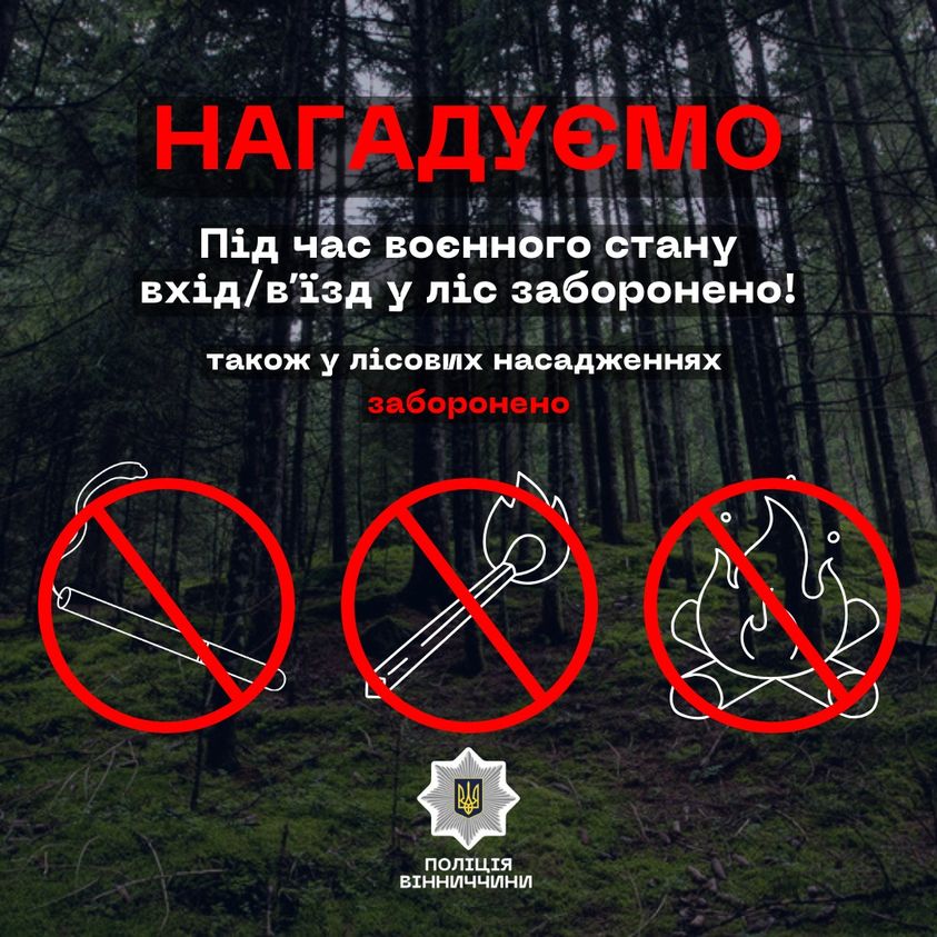 Інфографіка з написом "Під час воєнного стану вхід/в'їзд у ліс заборонено!"