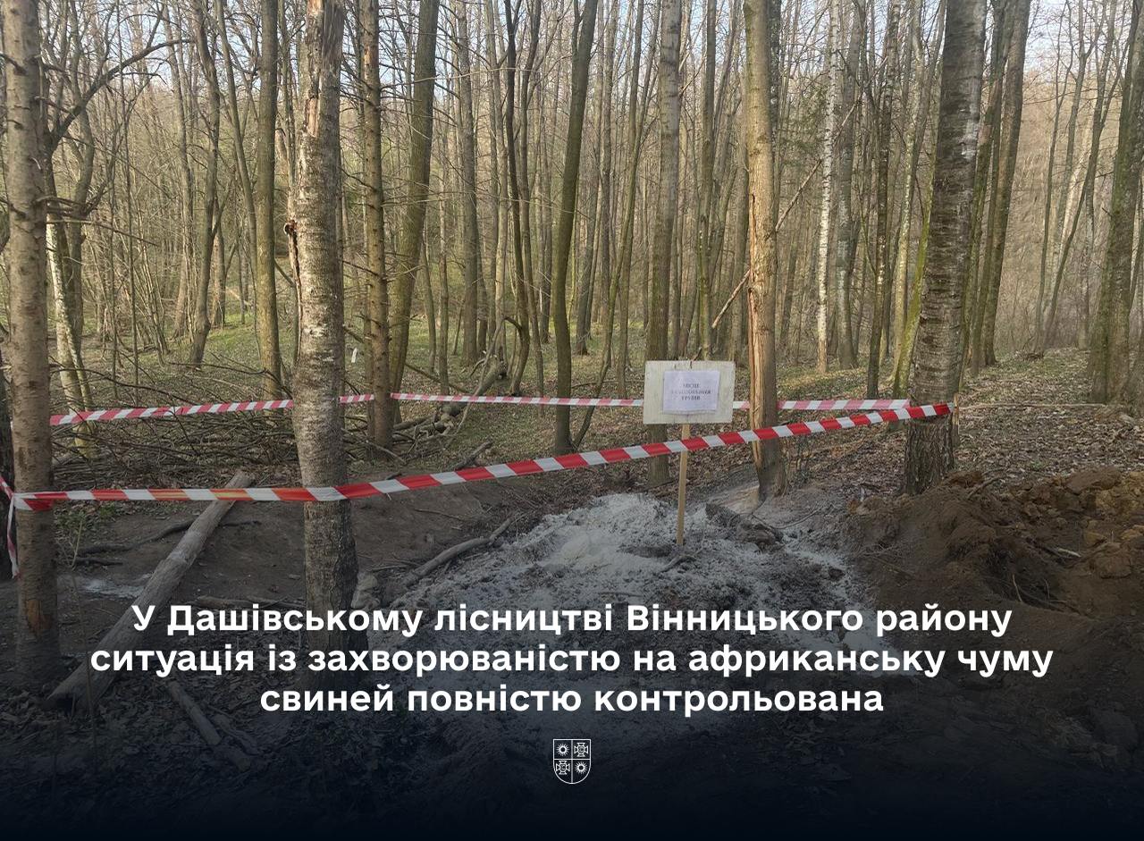 Обгороджена зона в лісі