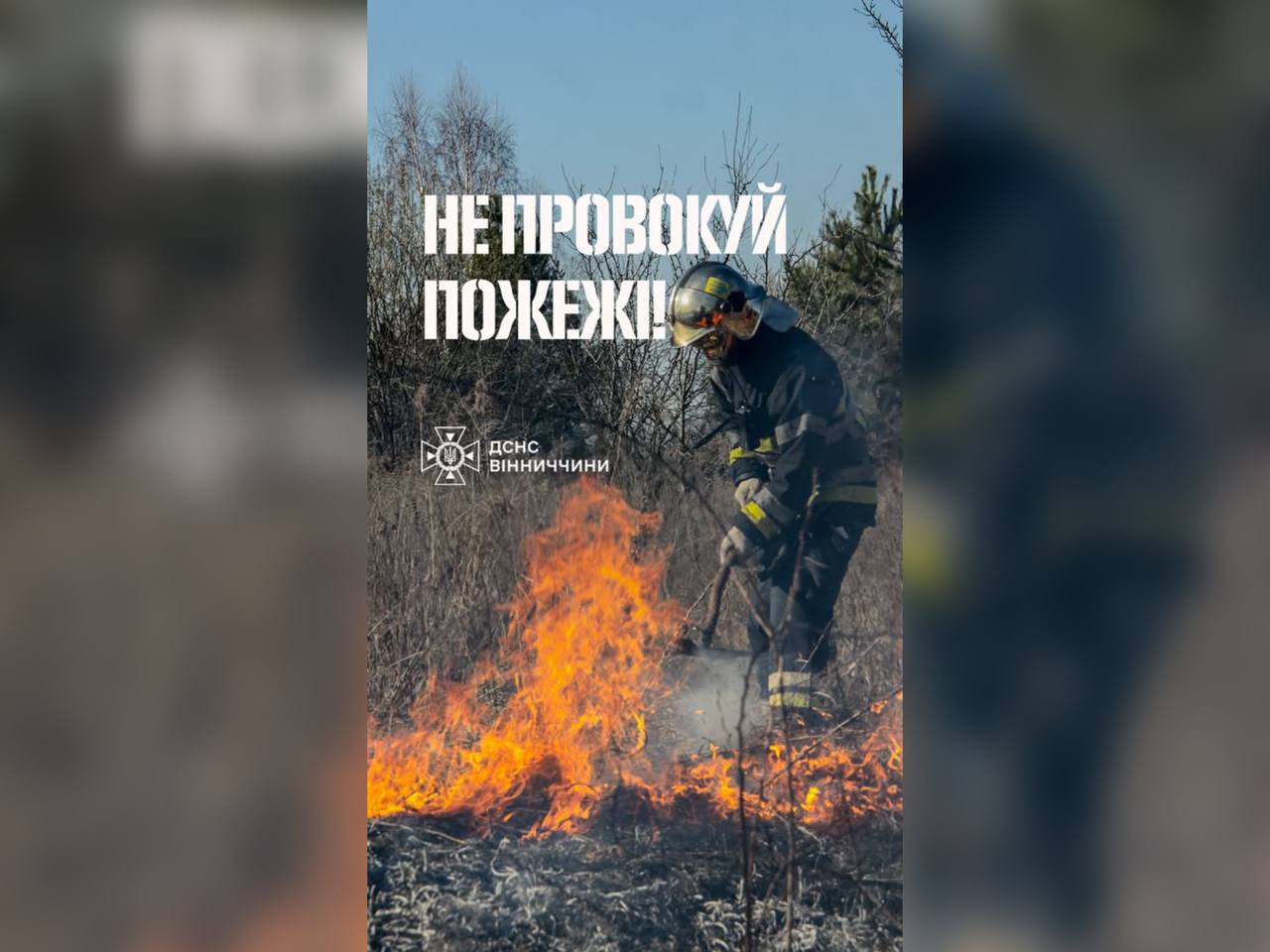 Рятувальники Вінниччини нагадують про небезпеку пожеж у природних екосистемах