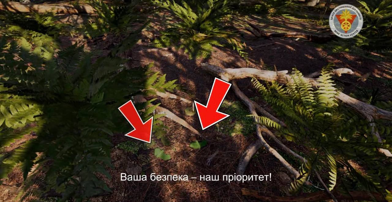 лісові насадження