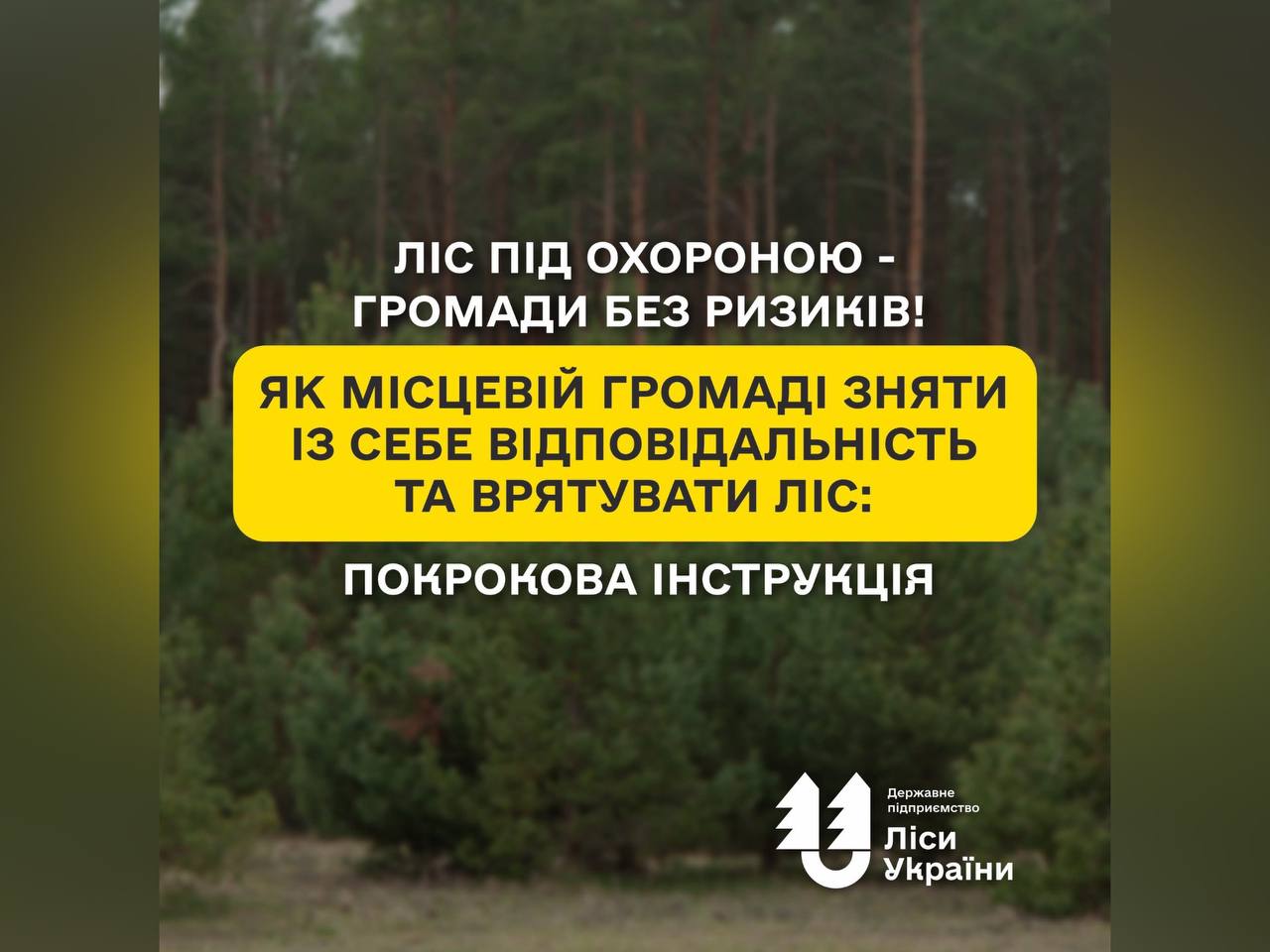 ліси та напис "Ліси під охороною – громади без ризиків! Як місцевій громаді зняти із себе відповідальність та врятувати ліс: покрокова інструкція від ДП "Ліси України"