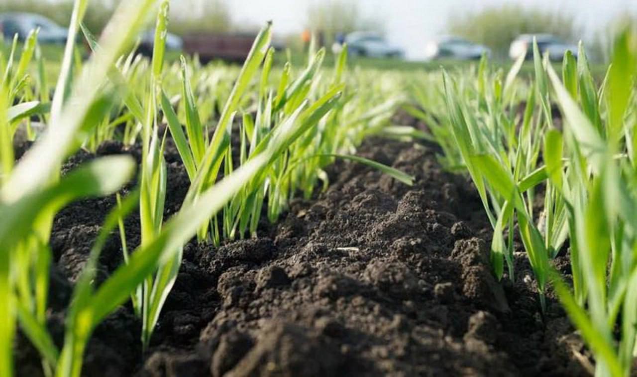 Аграрії Вінниччини активно проводять весняно-польові роботи