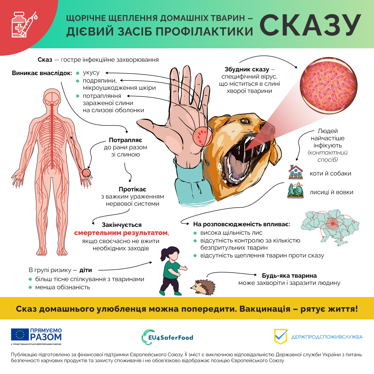 Щорічне щеплення тварин - дієвий засіб проти сказу