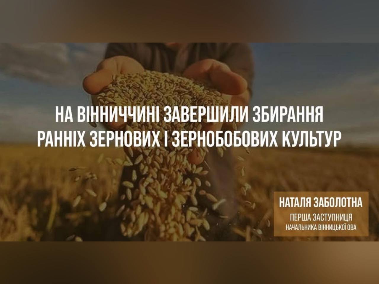 На Вінниччині намолочено 2,4 мільйона тонн зерна!