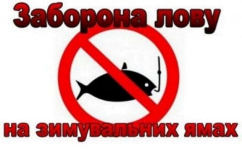 З 1 листопада у Вінницькій області стартує заборона на вилов риби у  зимувальних ямах — Вінницька обласна військова адміністрація
