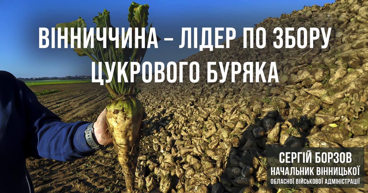 врожай цукрового буряка 
