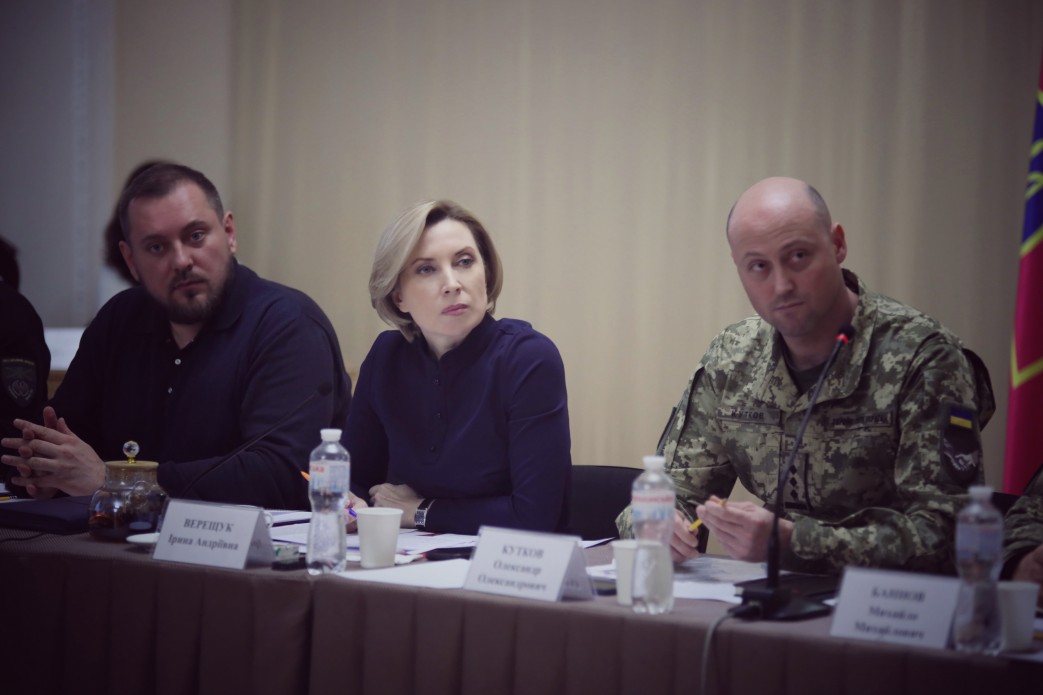 заступниця керівника Офісу Президента Ірина Верещук та учасники засідання