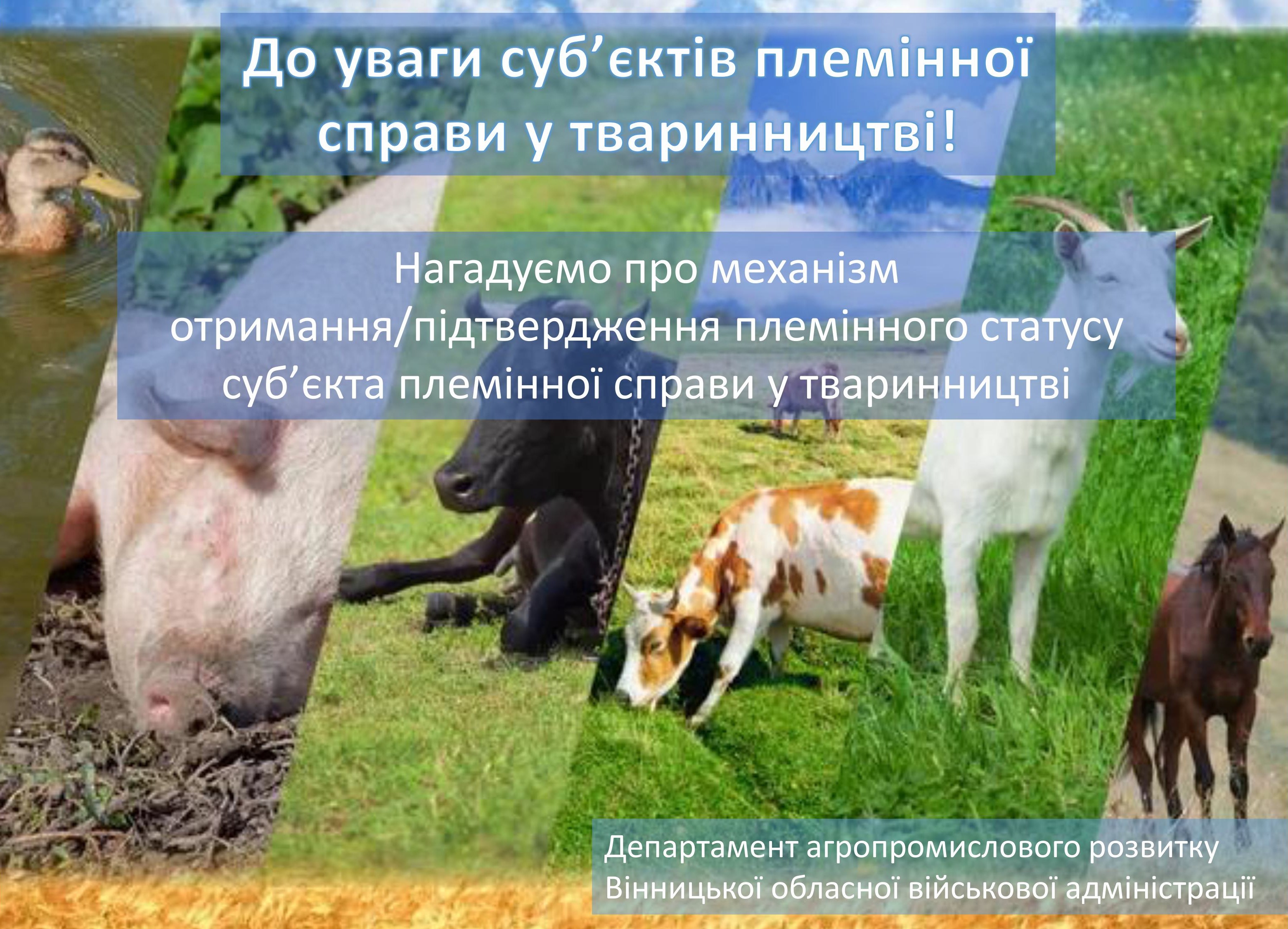 Банер із зображенням сільськогосподарських тварин та текстом 