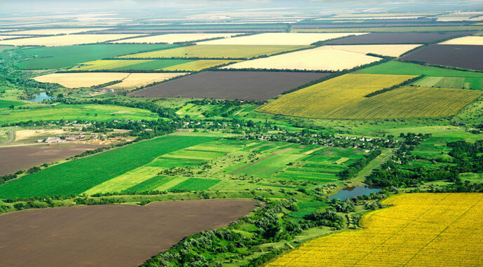 Земельна ділянка