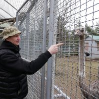 ветеран спостерігає за страусом