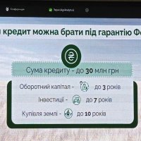 Слайд з презентації з переліком кредитів, які можна брати під гарантії Фонду