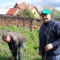 учасники заходу саджають дерева