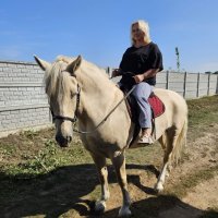 Діти і дорослі відпочивають