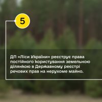 Інфографіка від ДП "Ліси України" про те, як місцевій громаді зняти із себе відповідальність та врятувати ліс