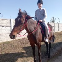 Дитина на коні