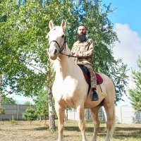 Діти з дорослими проводять час на природі і на культурних заходах