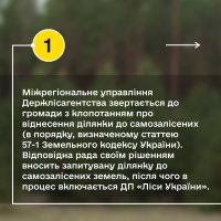 Інфографіка від ДП "Ліси України" про те, як місцевій громаді зняти із себе відповідальність та врятувати ліс