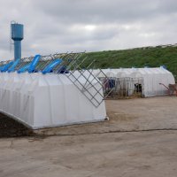 молочна ферма та корівник