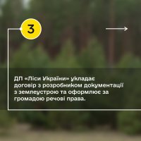 Інфографіка від ДП "Ліси України" про те, як місцевій громаді зняти із себе відповідальність та врятувати ліс