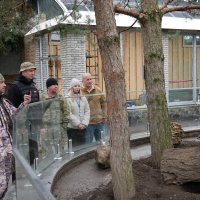 ветерани та учасники промотуру спостерігають за сурикатами на території зоопарку