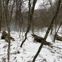 Військові під час навчань вдосконалюють бойові навички