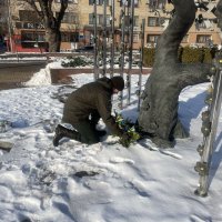 Курсанти під час покладання герлянд до Дерева Свободи