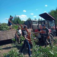 Люди розчищають територію