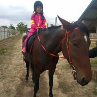 Діти з дорослими проводять час на природі і на культурних заходах