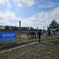 Діти і дорослі відпочивають
