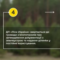 Інфографіка від ДП "Ліси України" про те, як місцевій громаді зняти із себе відповідальність та врятувати ліс